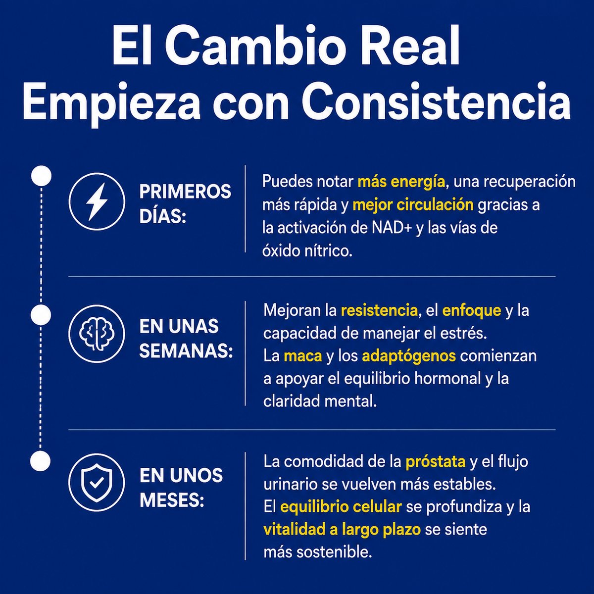 PROSTANAD+™ | Recupera tu vitalidad masculina, apoya la próstata y mejora la circulación