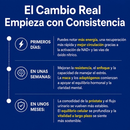 PROSTANAD+™ | Recupera tu vitalidad masculina, apoya la próstata y mejora la circulación