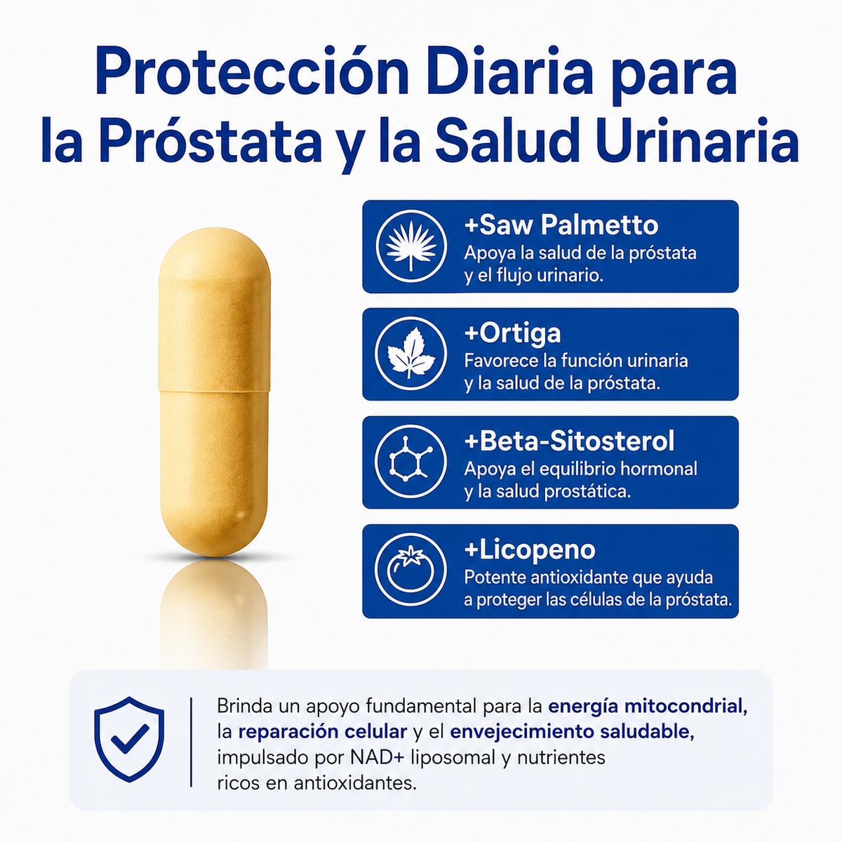 PROSTANAD+™ | Recupera tu vitalidad masculina, apoya la próstata y mejora la circulación