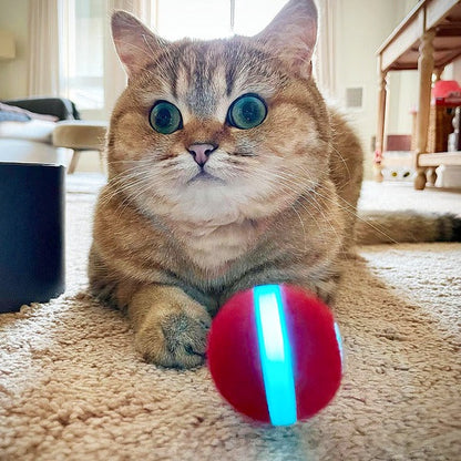 PELOTA PARA GATOS