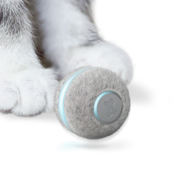 PELOTA PARA GATOS