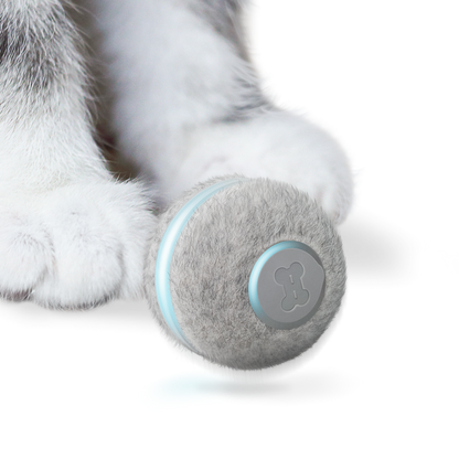 PELOTA PARA GATOS