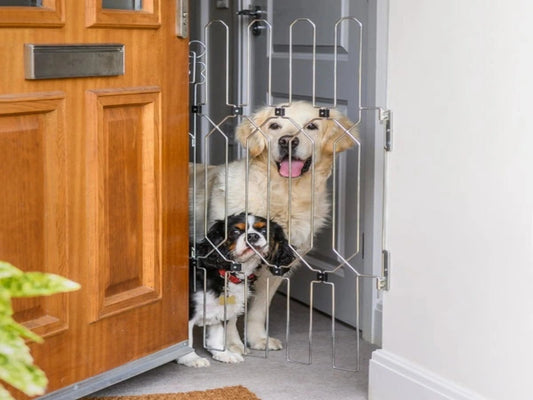 PUERTA PLEGABLE PARA PERROS