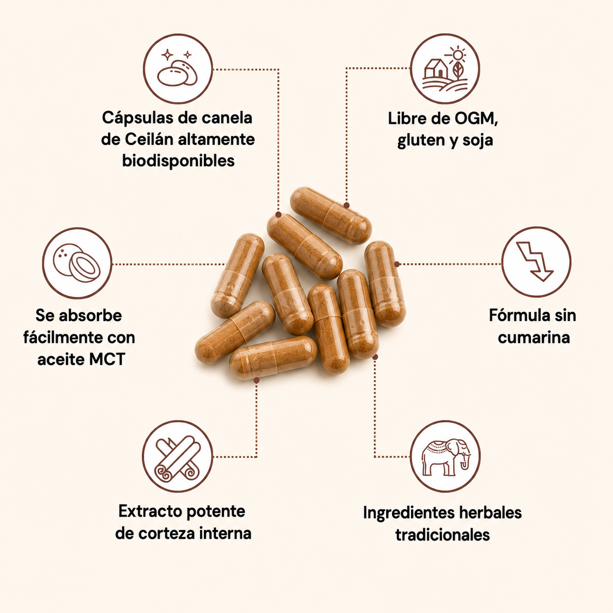 Canela de Ceilán | ¿Azúcar Alta y Presión Inestable?