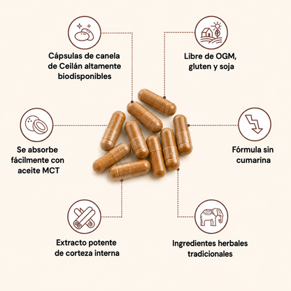 Canela de Ceilán | ¿Azúcar Alta y Presión Inestable?